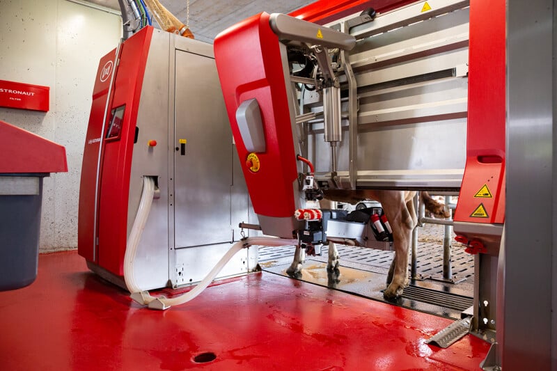 Robot lely astronaut
