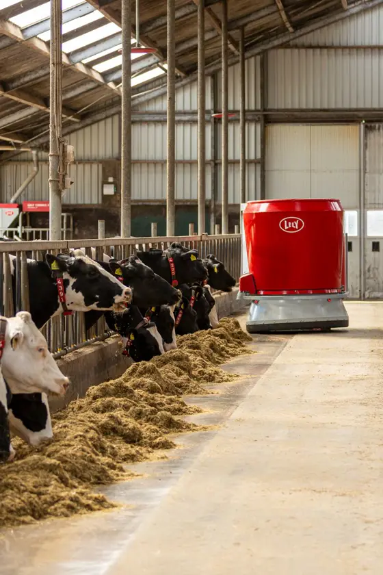 Lely Vector rijdt op de voergang terwijl hij de koeien voert. De koeien zijn rusting aan het eten.