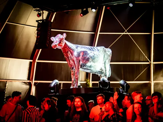 Glittercow lely