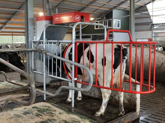 A Lely Cosmix automatic concentrate feeding system in a dairy barn. A black and white cow is standing in the system eating.