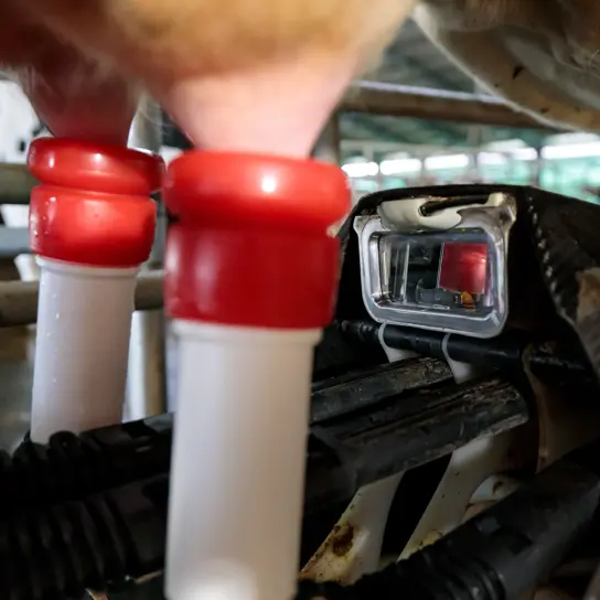 New Astronaut A5 Next teat detection system